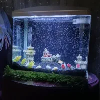 اکواریوم مکانیزه فول‌ وسایل قیمت مفت تا امروز