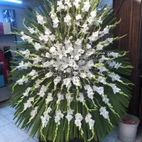 تاج گل مراسم تبریک ترحیم افتتاحیه|گل و گیاه طبیعی|مشهد, امیر|دیوار