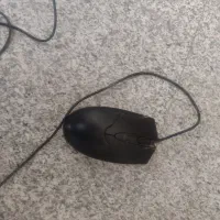 موس