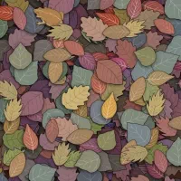 استخدام حسابدار خانم