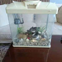اکواریوم شرکتی شیشه خم