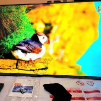 ال ای دی43 اینچ سام SAM با پایه دیواری نونو به شرط