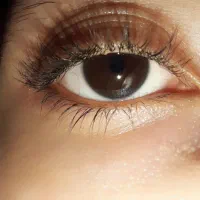 پذیرش مدل لیفت ولمینت مژه وابرو +مژه موقت +اکستنشن|خدمات آرایشگری و زیبایی|تهران, هلال احمر|دیوار