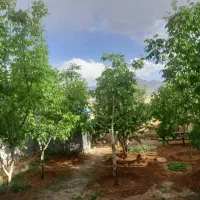 فروش منزل ویلایی روستای گردشگری درهبید|فروش خانه و ویلا|داران, |دیوار