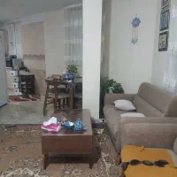 همخانه فقط خانم خودم خانم هستم