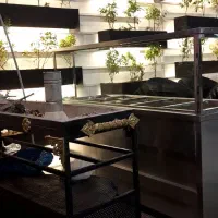 اجرایه کناف کابینت و نورپردازی و تعمیرات|خدمات پیشه و مهارت|شیراز, تاچارا|دیوار