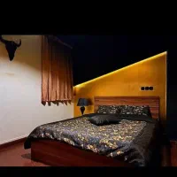 نظافتچی خانم مجرد برای کار در منزل