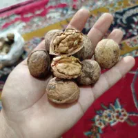 قیمت مناسب+ کیفیت مطلوب