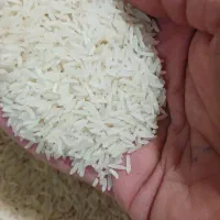 برنج خوشپخت برنج طارم اعلا