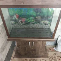آکواریوم با پایه