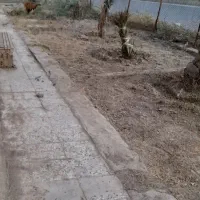 خدمات باغ..|خدمات باغبانی و درختکاری|چمران, |دیوار