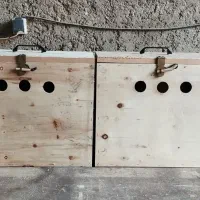 جعبه حمل خروس|لوازم جانبی حیوانات|ساری, |دیوار