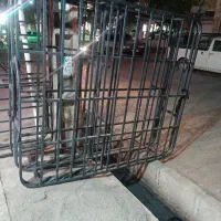 کفی تحت 160 جکدار یاتاک یونیک