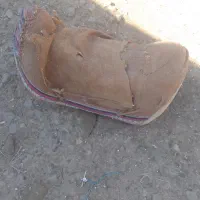 پالن اسب