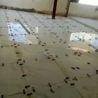 بنایی ساختمان