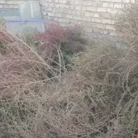 جارو بزرگ  (چارخ)|لوازم نظافت|قیدار, |دیوار