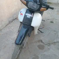 بهمن بی ۸۷سالم