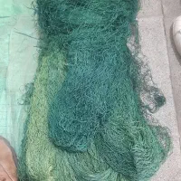 تور ماهیگیری