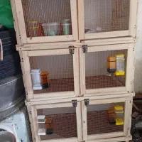 توری جفتگاه|لوازم جانبی حیوانات|شیروان (خراسان), |دیوار