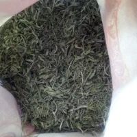هزوه کوهی