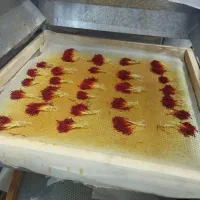 دستگاه زعفران خشک کن پرسی جکدار اتومات|سایر لوازم برقی|تربت‌حیدریه, طالقانی|دیوار