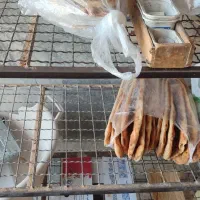 فروش امتیاز نانوایی دربجنورد|فروش مغازه و غرفه|بجنورد, |دیوار