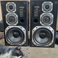 باند پایونیر