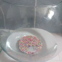 سه تا اکواریوم|ماهی|مشهد, کوثر|دیوار