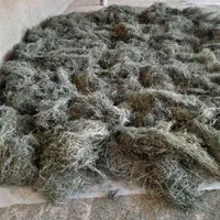 باعرض سلام فروش حدود۴۰۰کیلوشاتره