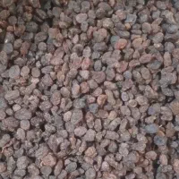 تخمه و کشمش|خوردنی و آشامیدنی|اندیشه, اندیشه فاز ۱|دیوار