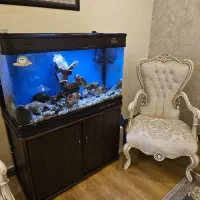 آکواریوم خارجی بدون جلبرگ ۱متر  در ۵۰ سانت