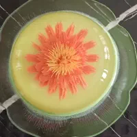 سفارش هرگونه دسر و ژله پذیرفته میشود|خدمات پذیرایی، مراسم|اسلام‌شهر, شهرک انبیا|دیوار