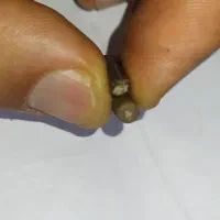 سنگ ومهره عطیقه|کلکسیون اشیاء عتیقه|تهران, شوش (باغ آذری)|دیوار