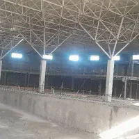 اجرای صفرتاصد استخر جکوزی وارش