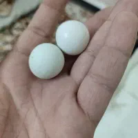 سنگ الماس آسیاب