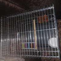 فروش قفس بزرگ مناسب عروس هلندی مرغ عشق و..|لوازم جانبی حیوانات|جیرفت, |دیوار