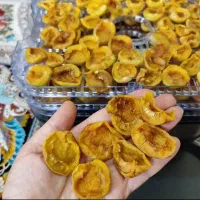 میوه خشک کن ،  نو ، کف قیمت بازار|سایر لوازم برقی|خمین, |دیوار