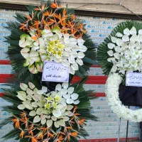 تاج گل و گل‌آرایی با 20سال سابقه کار|گل و گیاه طبیعی|ری, بازار گل خاوران|دیوار