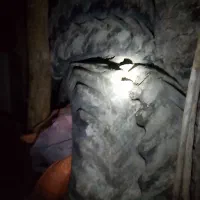 لاستیک تراکتور ۴۷۵|قطعات یدکی و لوازم جانبی|کلات (خراسان), |دیوار