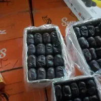 خرما مضافتی بم