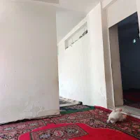 منزل دو خواب