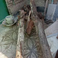 ضایعات چوب|حراج|پاکدشت, پاکدشت (مامازند)|دیوار