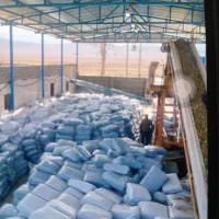 علوفه ذرت سیلو