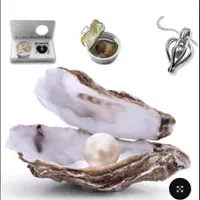 گردنبند مروارید عشق هدیه خاص ولنتاین|بدلیجات|اصفهان, احمدآباد|دیوار