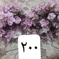 گل وگلدان و وسایل خانه