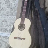 گیتار دوستی مدل 010