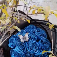 تخفیف ویژه|گل مصنوعی|تبریز, |دیوار