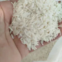 برنج هاشمی اعلا سورتینگ شده محصول خودم