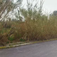 زمین-کشاورزی