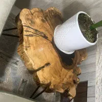 فروش سه عدد میز عسلی چوب طبیعی و پینترستی|مبلمان خانگی و میز عسلی|تربتحیدریه, شهرک ولیعصر|دیوار